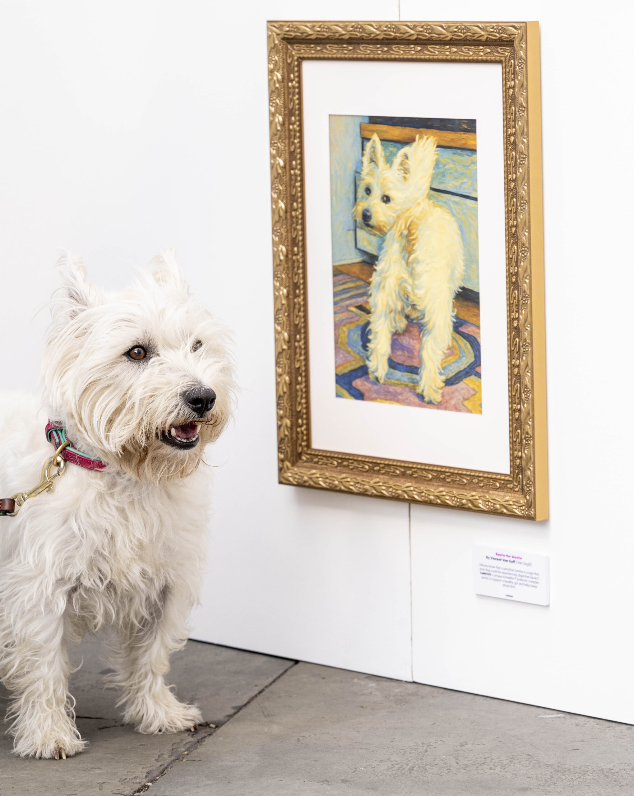 YuMOVE – The National Pooptrait Gallery
